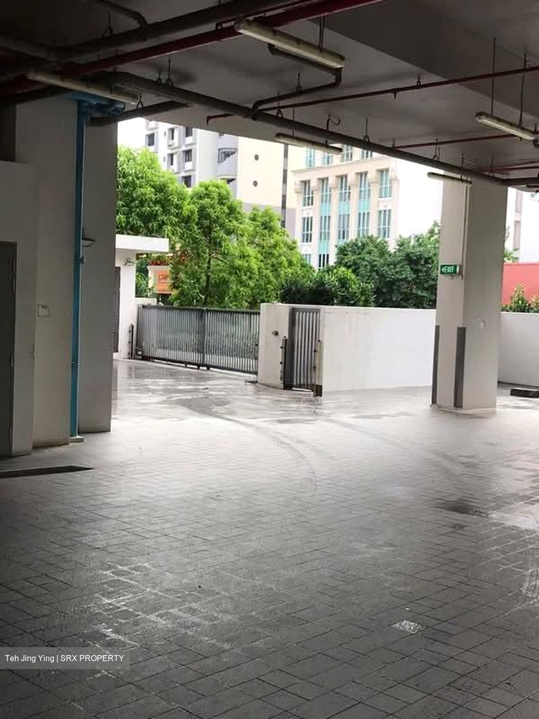 Neem Tree (D12), Apartment #553580341